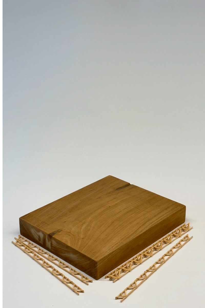 Maqueta Autohelado Canning ||| MARQ ||| DRM Ariquitectura